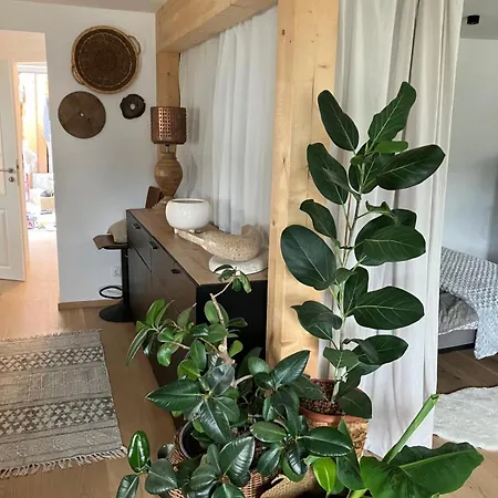 Anno 1763 * Saint Wolfgang