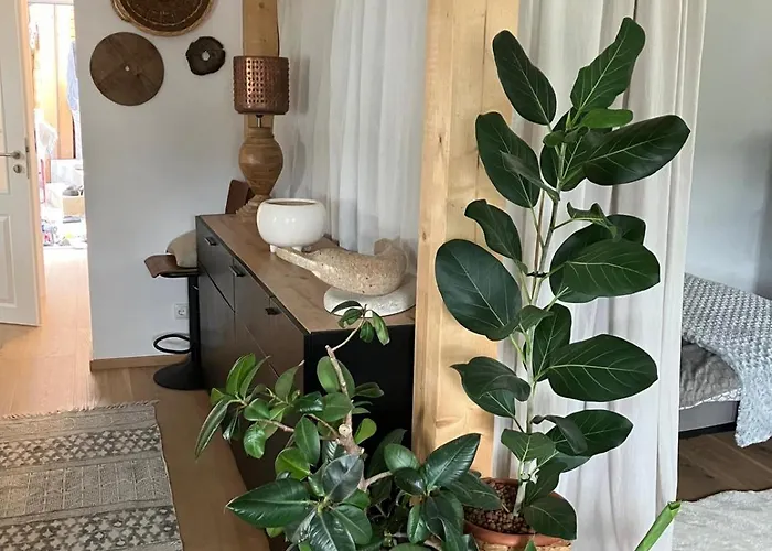 Anno 1763 * Saint Wolfgang