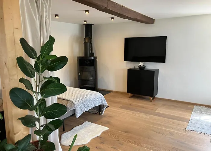 Апартаменты Anno 1763 *